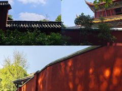 -成都动物园