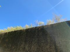 -野鸭湖国家湿地公园