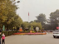-西安市长乐公园