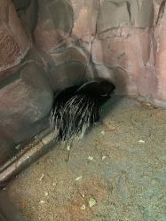 -酷嗒动物文化乐园(cutezoo西溪乐天城店)