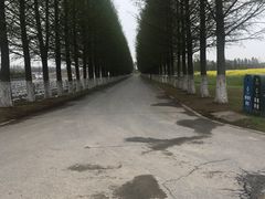 -嘉北郊野公园