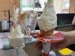 -野人先生现做冰淇淋(北京悠唐购物中心店)