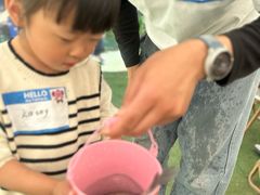 -大塘金香草谷