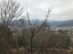 景点-林屋洞景区