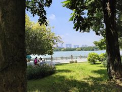 -海珠湖公园