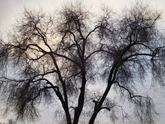 -国家图书馆·古籍馆