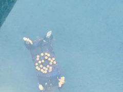 -石燕湖生态旅游景区