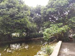 -成都市活水公园