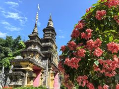-西双版纳总佛寺