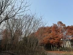-太阳岛旅游度假区