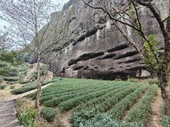 -武夷山风景名胜区-虎啸岩