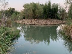 -梁鸿国家湿地公园