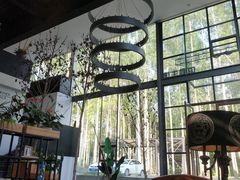 靠窗位-桉树林A coffee 森林餐厅(三圣乡店)
