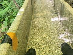 -青峰峡国家森林公园