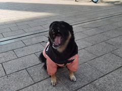 -南京中医药大学(仙林校区)