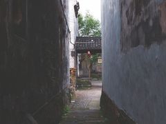-东梓关景区村庄