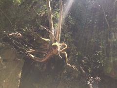 -藏龙百瀑风景区