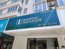 -菩叶脱发白发中心