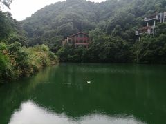 -宁海安岚·南溪阁全日餐厅