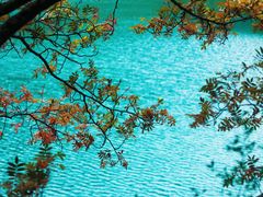 -叠溪松坪沟景区