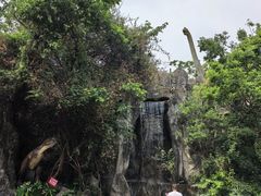 -昆明动物园