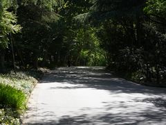 -上海吴淞炮台湾国家湿地公园
