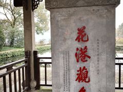 -西湖外事游船(花港观鱼码头)