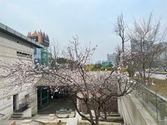 -桂溪生态公园
