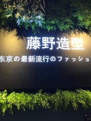 点击看大图 -藤野造型