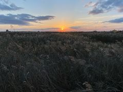 -八分场凉皮老店(正宗)