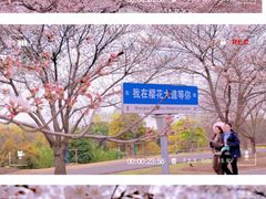 -上海辰山植物园