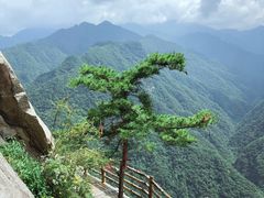 -陕西省红河谷森林公园