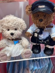 -TeddyTales莉娜熊(国贸店)