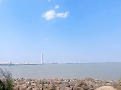 -吴淞炮台湾湿地森林公园烧烤区