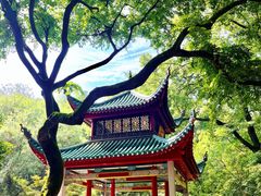 -岳麓山风景名胜区