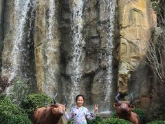 游乐设施-北京欢乐谷