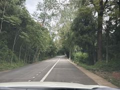 -窦圌山风景区
