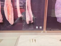 -迪庆藏族自治州博物馆