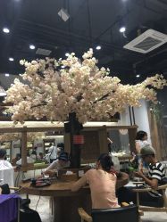 -简影造型·自选烫染接发salon