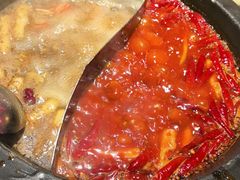 -蜀大侠火锅(总府路店)