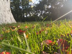 -菊花台公园