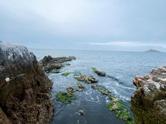 -养马岛旅游度假区