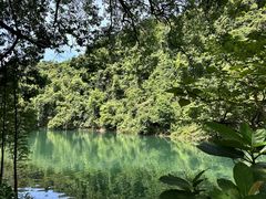 -鼎湖山风景区