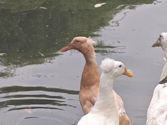 -石家庄市动物园