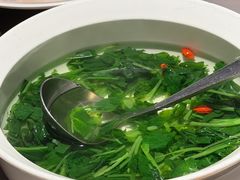 -醉庐·新上海菜(南京西路店)