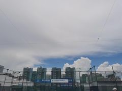 -君成体育|网球培训(蛇口校区)