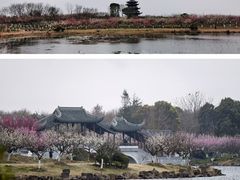 -上海海湾国家森林公园