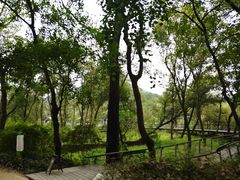 -西湖风景区-江洋畈生态公园