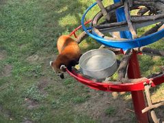 -西霞口神雕山野生动物世界