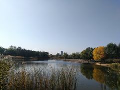 -永定河休闲森林公园